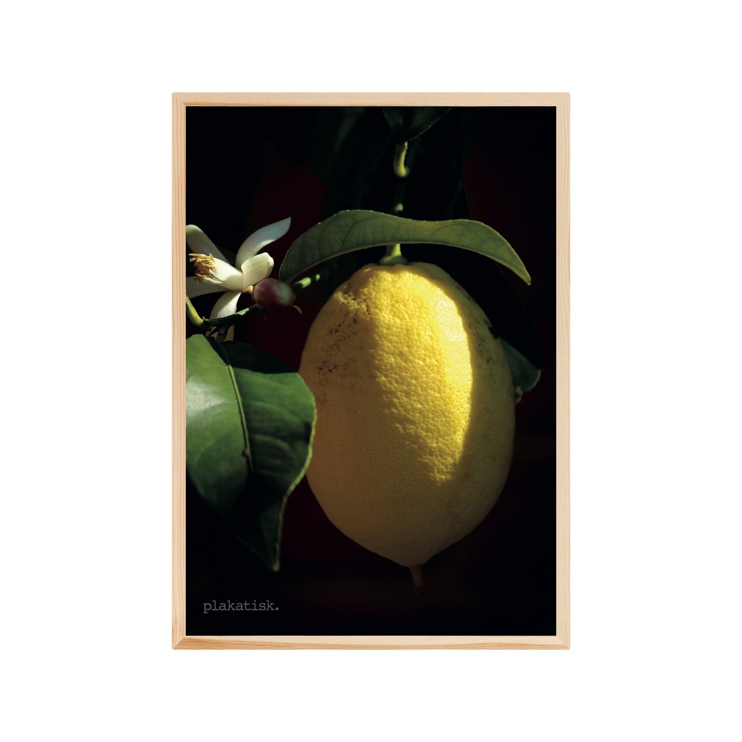 Citronen - Plakatisk
