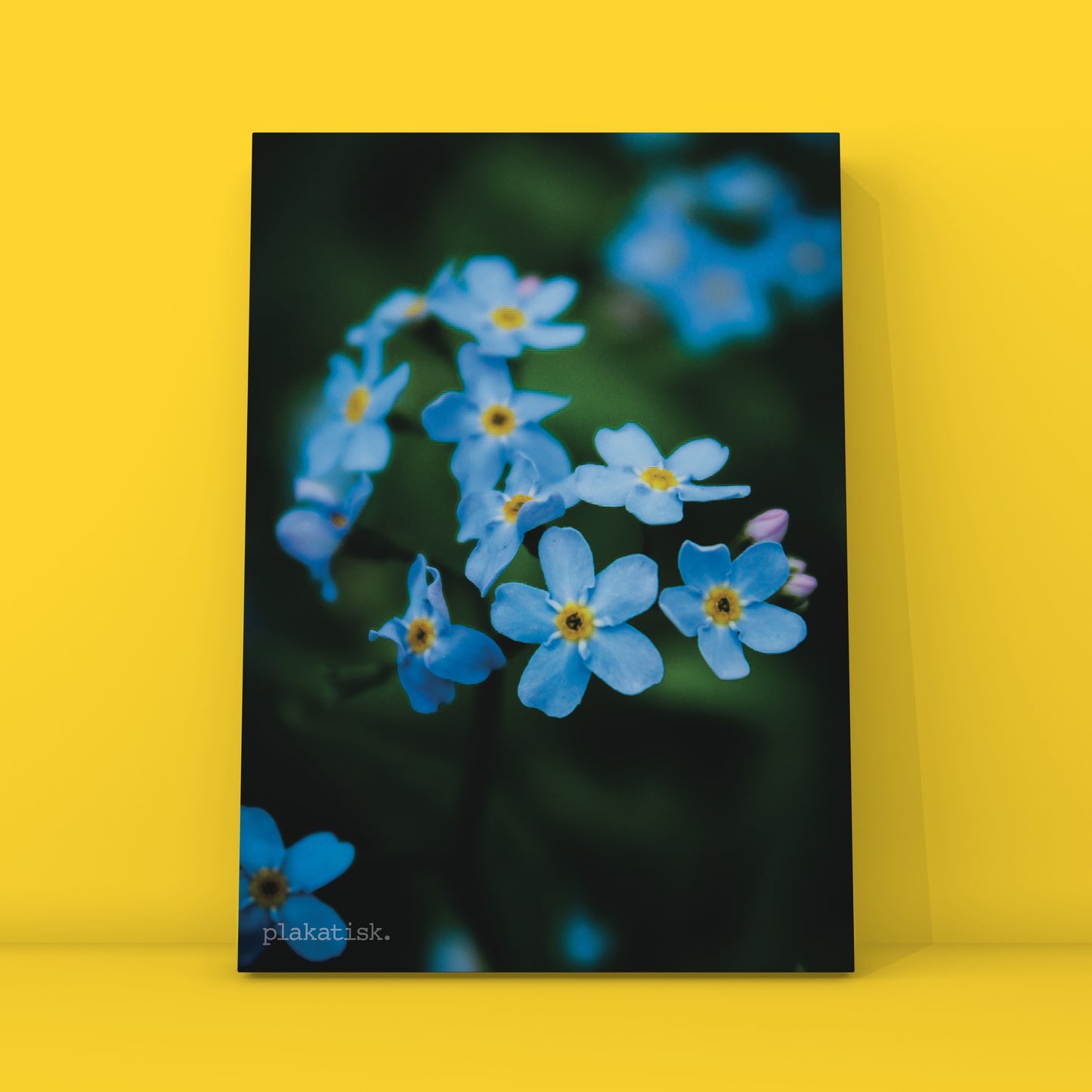 Blå blomster - Plakatisk