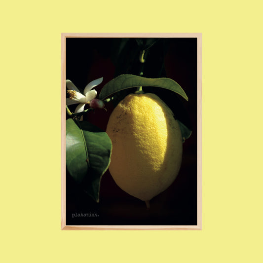 Citronen - Plakatisk