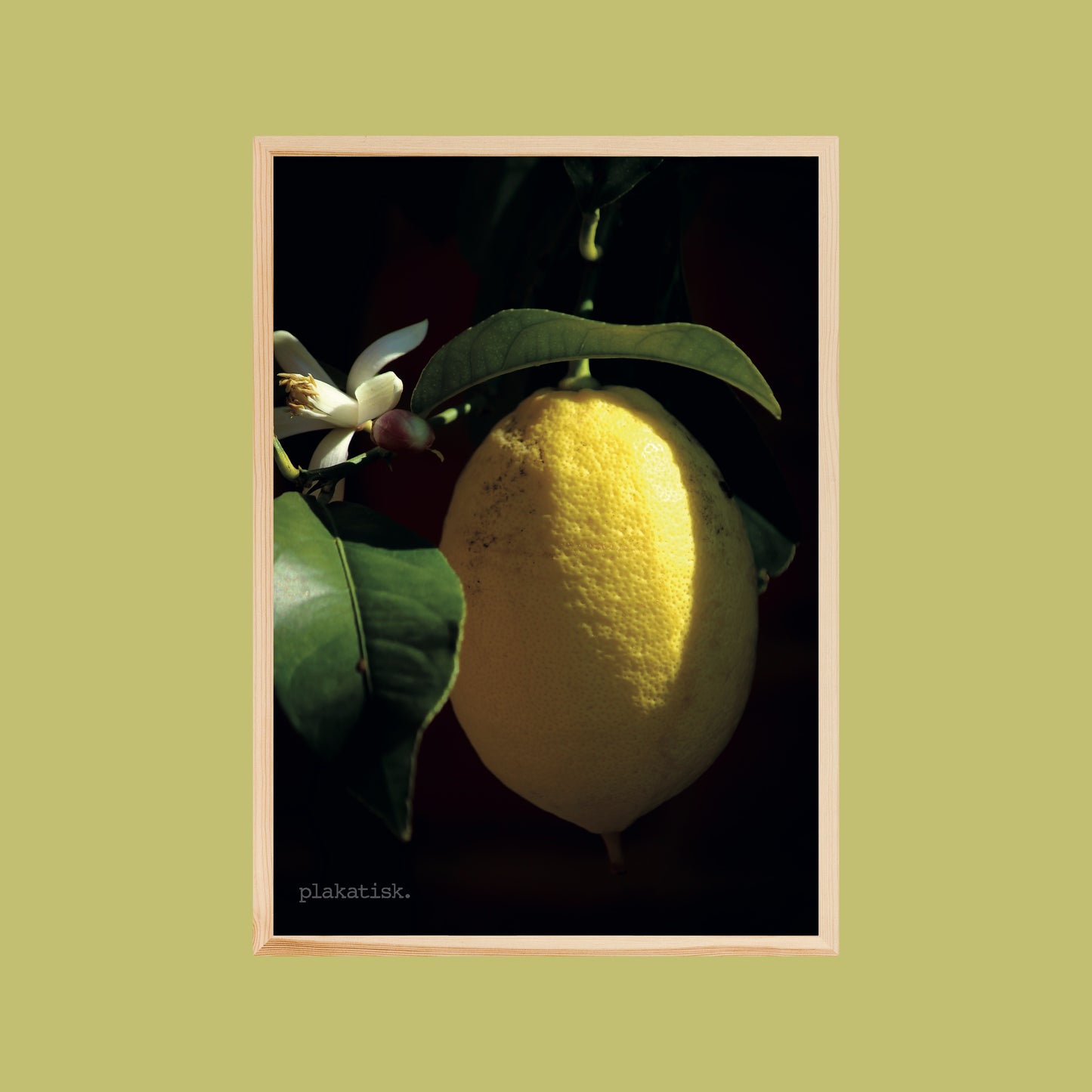 Citronen - Plakatisk