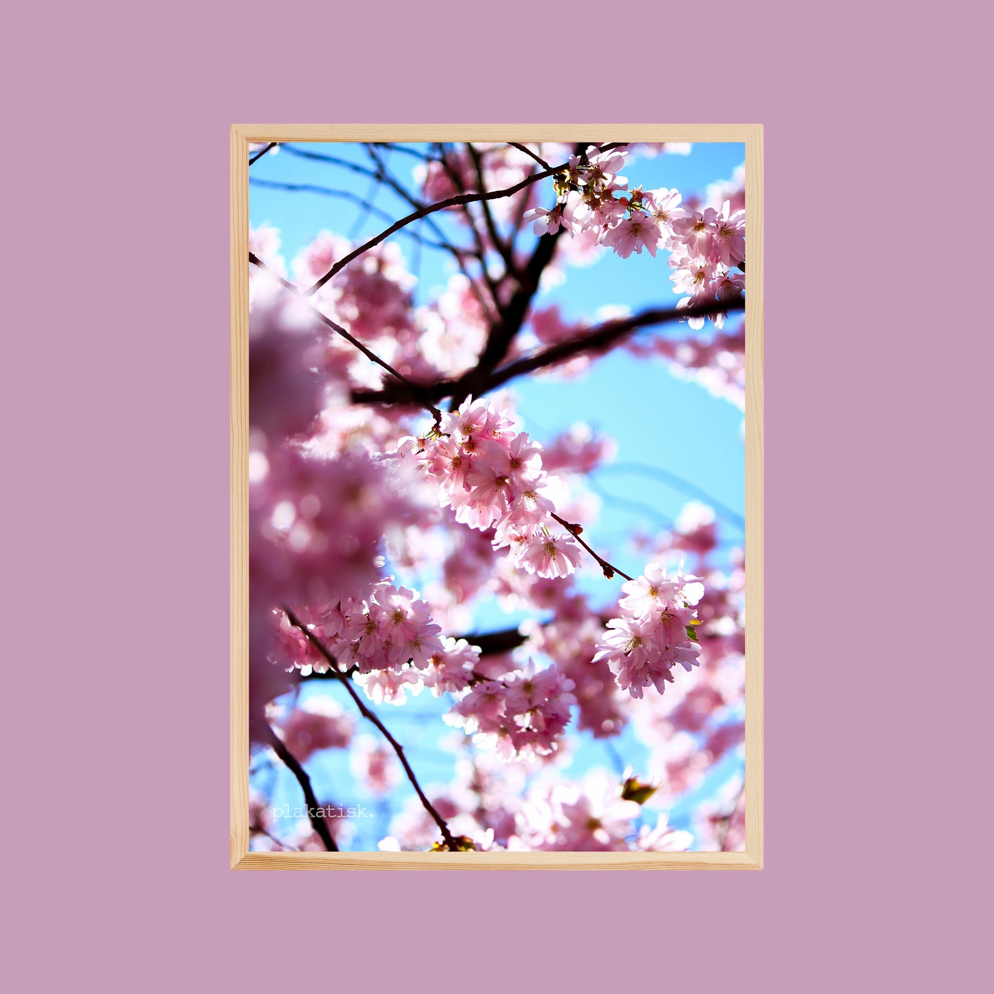 Sakura - Plakatisk