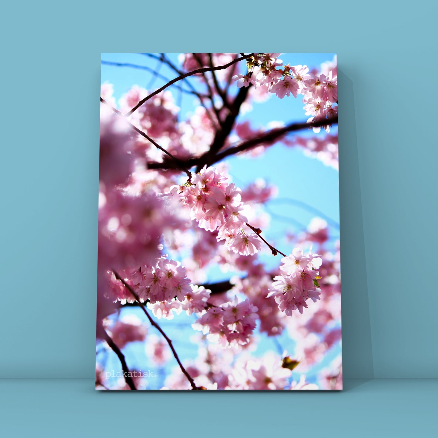 Sakura - Plakatisk