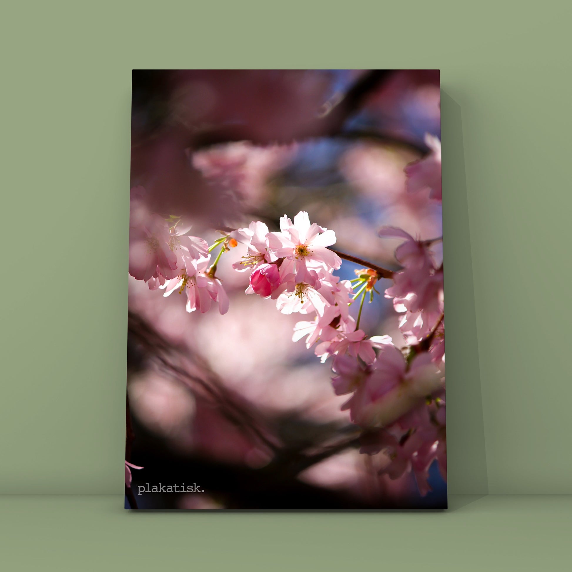 Sakura II - Plakatisk